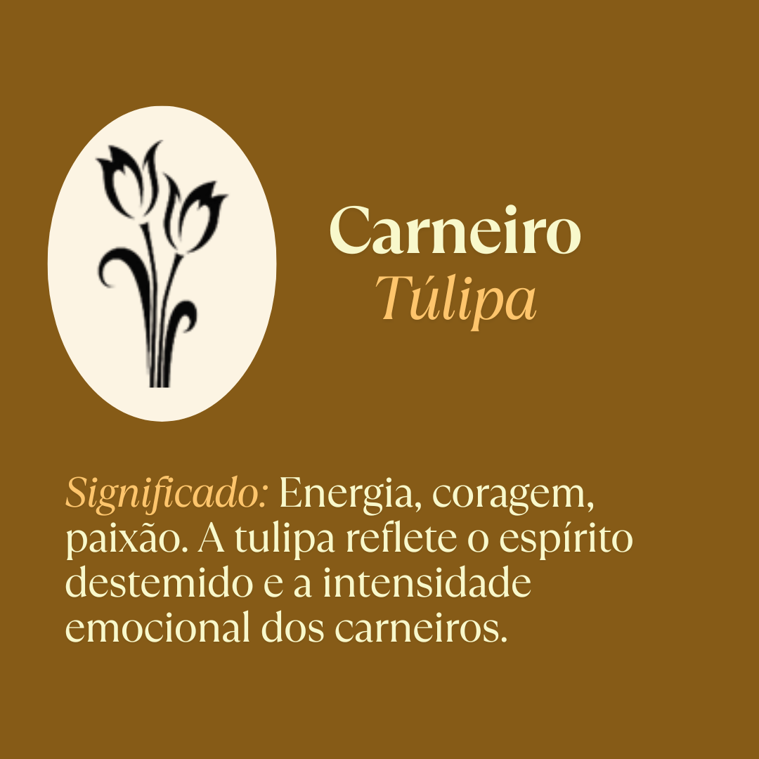 Colar Flor Signo